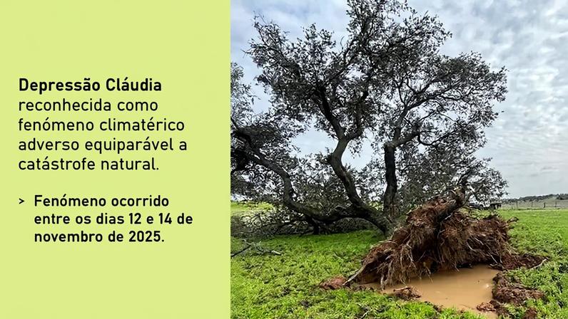 Depressão Cláudia reconhecida como fenómeno climatérico adverso « Comissão de Coordenação e Desenvolvimento Regional do Alentejo, I.P.