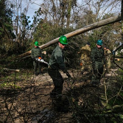 Prejuízos agrícolas em Lisboa e Vale do Tejo passam de 107 milhões de euros