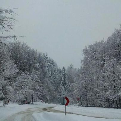 Seis mortes na Bulgária alimentam teorias sobre seitas e serviços secretos
