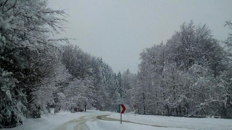 Foto: lazyweaver/Wikimedia