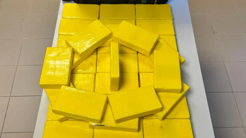 Cocaína foi transportada numa mala de viagem