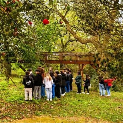 Março traz programação para todas as idades no Theatro Gil Vicente