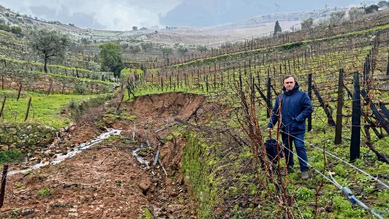 A violação das regras constitui contraordenação punível de 150 a mil euros