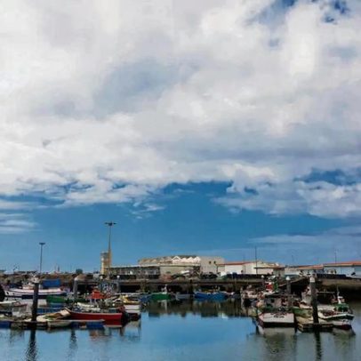 Mais de metade dos apoios ao defeso do polvo ainda por pagar