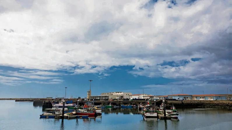 No Norte, o defeso do polvo foi cumprido entre 17 de julho e 15 de agosto. Já lá vão mais de seis meses