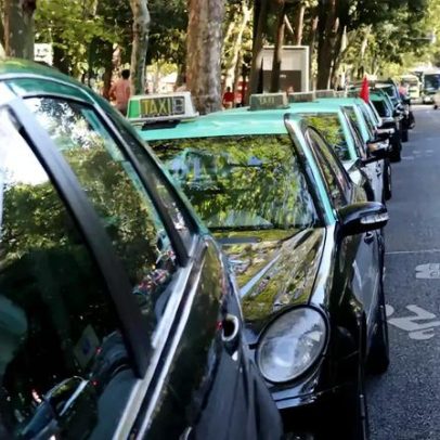 PS propõe táxis no corredor de autocarros da Avenida Fernão de Magalhães
