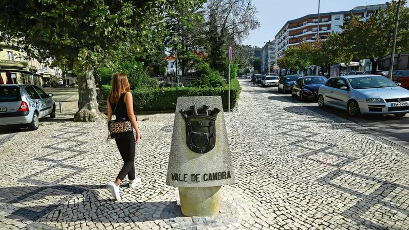 Autarquia pretende criar incentivos para atrair mais jovens a residir em Vale de Cambra