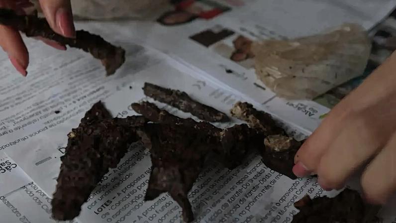 Espólio com mais de seis mil peças arqueológicas ficou submerso devido às cheias em Alcácer do Sal