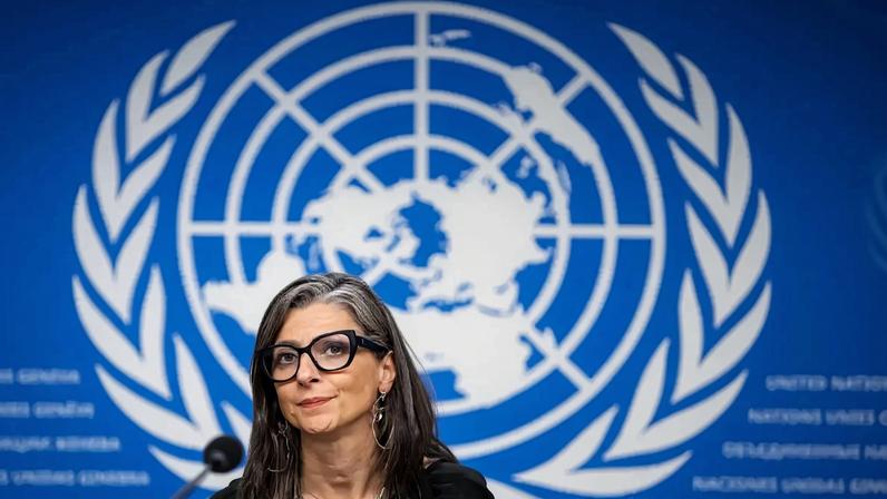 Os signatários realçaram que Francesca Albanese "tem mantido um compromisso inabalável na documentação de crimes de guerra"