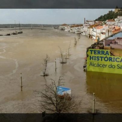 Alentejo regista 75,8 milhões de euros de prejuízos na agricultura