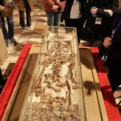 Itália exibe pela primeira vez restos mortais de S. Francisco de Assis