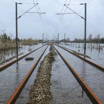 Preço da meia dúzia de ovos sobe 50 cêntimos em relação a 2025