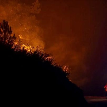 Governo propõe que reclusos limpem matas para prevenir fogos