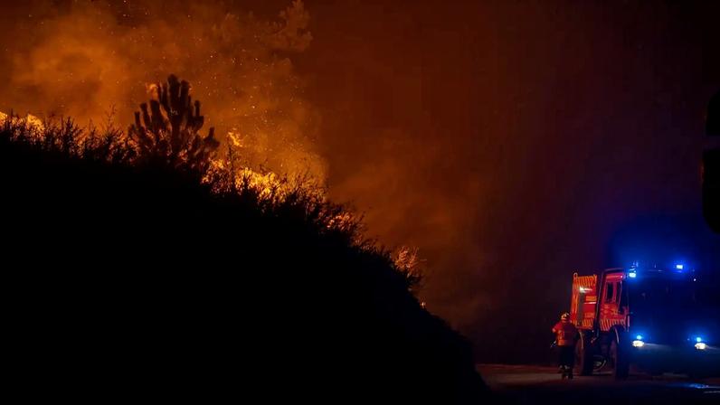 O Governo determina ainda que o ICNF promoverá ações de prevenção em espaços florestais