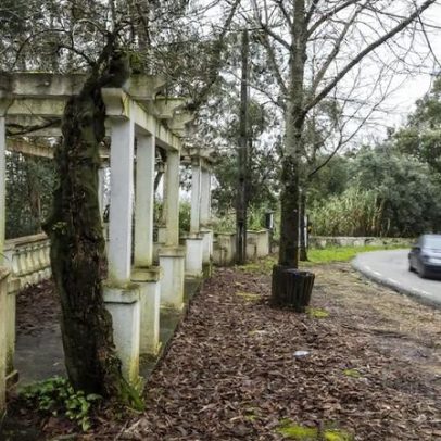 Quase 750 terrenos a expropriar para o eixo Aveiro-Águeda