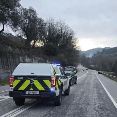 Boi abatido após atropelamento por carro em Vieira do Minho