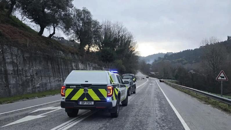 Imagem de contexto do artigo Boi abatido depois de ser atropelado por carro em Vieira do Minho