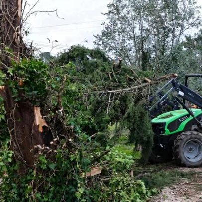 Patriarca de Lisboa elogia resiliência de Ourém, sem contacto com aldeia natal