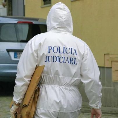 Polícia Judiciária investiga feto encontrado em centro de reciclagem