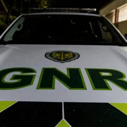 Homem constituído arguido por deixar cão atropelado sem assistência em Braga