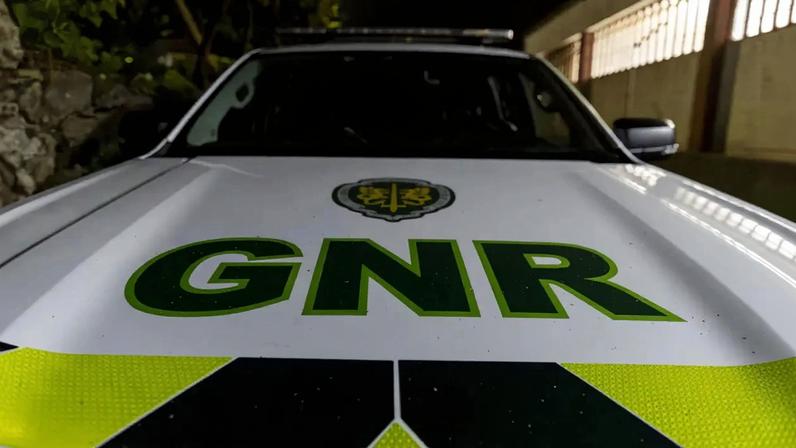 Homem constituído arguido por deixar cão atropelado sem assistência em Braga