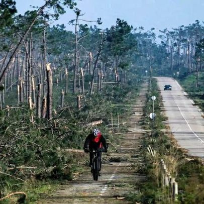 Bombeiros pedem plano de prevenção de incêndios de emergência