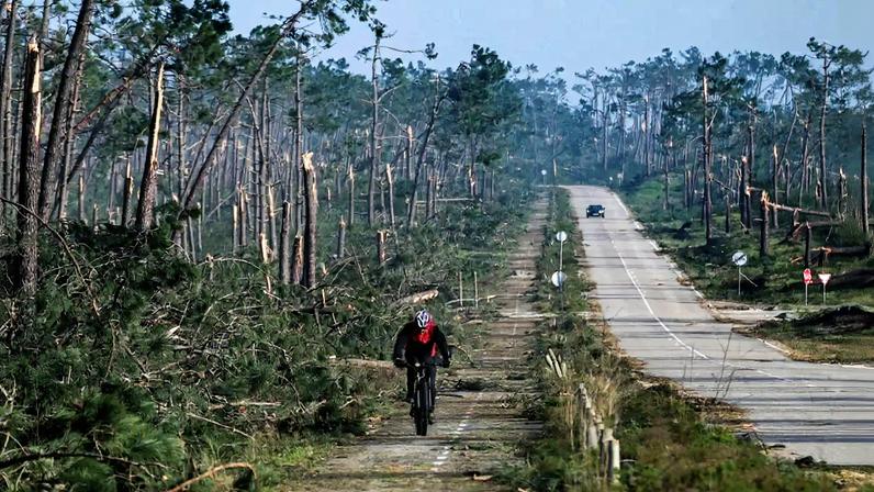 Bombeiros pedem plano de prevenção de incêndios de emergência