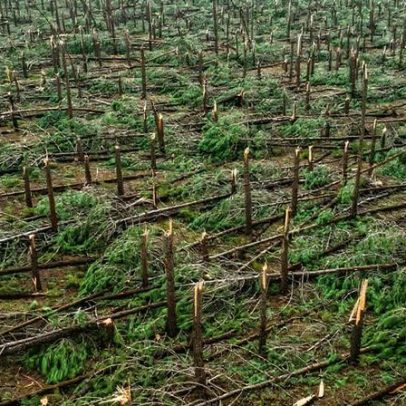 Esposende avança com soluções para drenagem nas Marinhas