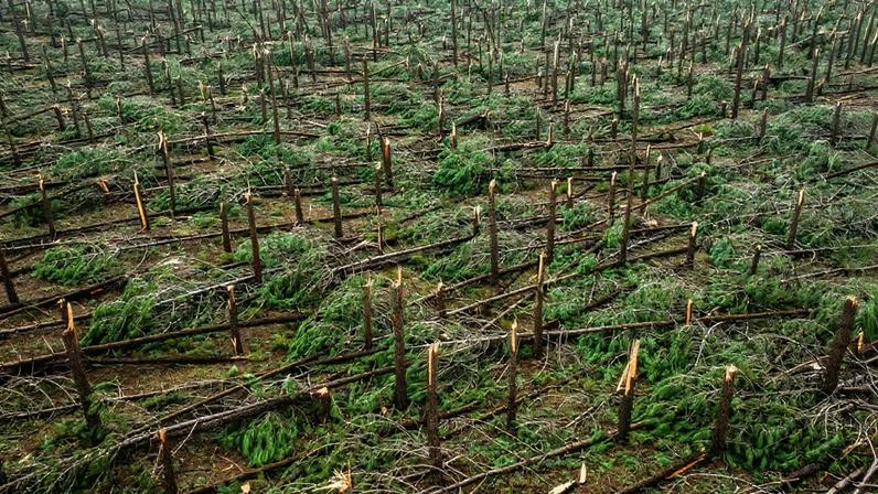 Um dos pontos analisados na visita do presidente da Câmara, Carlos Silva, ao terreno foi a Rua da Estrada Real