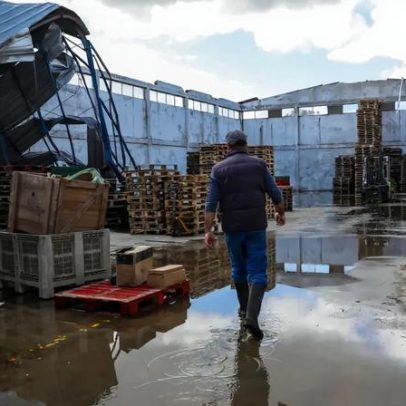 Diogo Costa rejeita saída para a Premier League e permanece no F. C. Porto