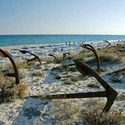 Entre Âncoras pretende preservar o ecossistema da Ria Formosa, no Algarve