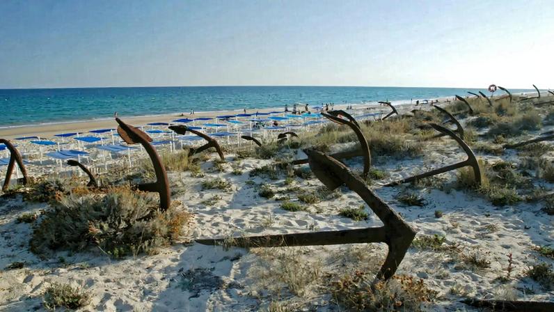 Entre Âncoras pretende preservar o ecossistema da Ria Formosa, no Algarve