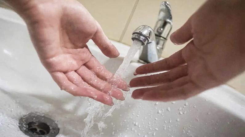 Desperdicio custa 158 milhões de euros por ano ao país