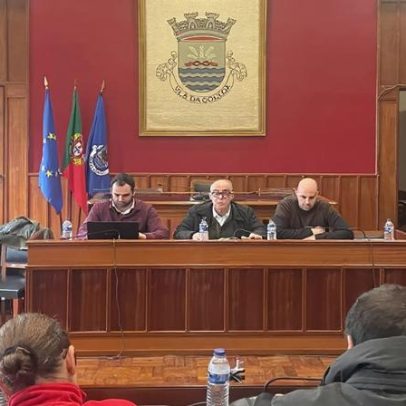 Golegã prevê prejuízos entre 150 e 200 mil euros com mau tempo