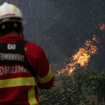 Um quarto dos portugueses já foi afetado por fogos florestais