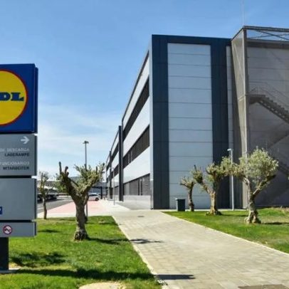 Lidl tem de indemnizar trabalhador despedido por fumar droga no serviço