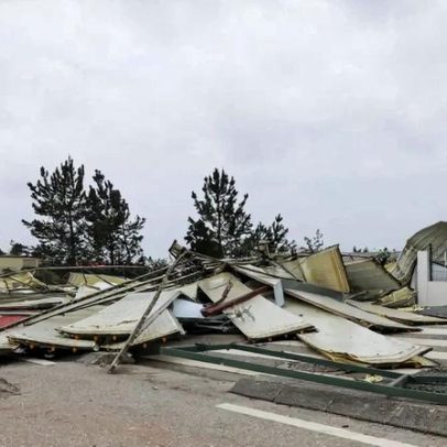 Investigadora portuguesa revela como sistema imunitário identifica células tumorais