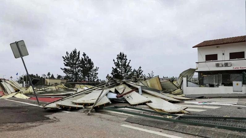 Imagem de contexto do artigo Estudo liderado por investigadora portuguesa revela como sistema imunitário identifica células tumorais