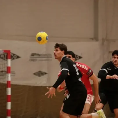 Jogo de andebol entre Avanca e FC Porto adiado para 14 de março