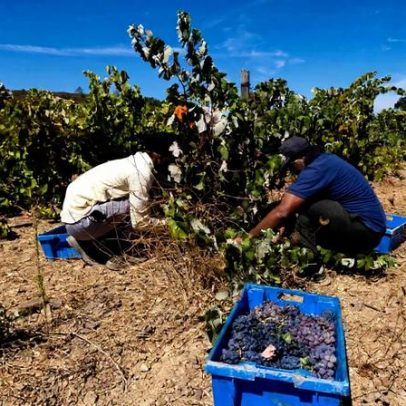 Imigrantes contribuem com 4 mil milhões para a Segurança Social
