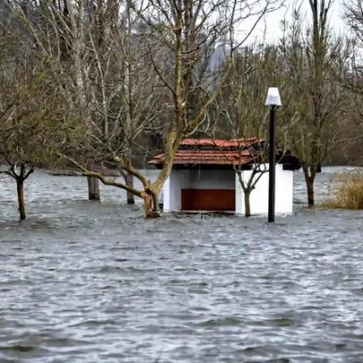 Rui Borges testa oito mudanças para o duelo do Sporting na Taça de Portugal