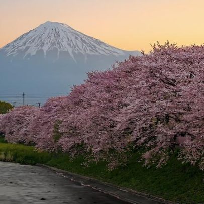 Porto oferece ateliers grátis para famílias neste fim de semana frio