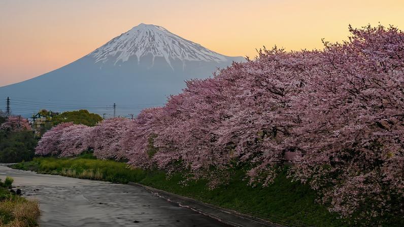 Alameda Shop & Spot acolhe ateliers didáticos para os mais novos