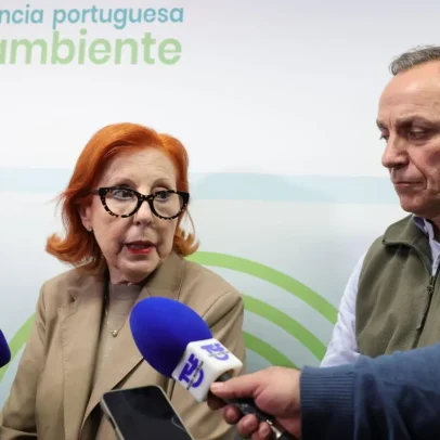 Articulação entre autarquias e Governo evitou tragédia maior nas cheias