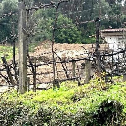 Derrocada atinge casa em Ponte da Barca e obriga a evacuar família