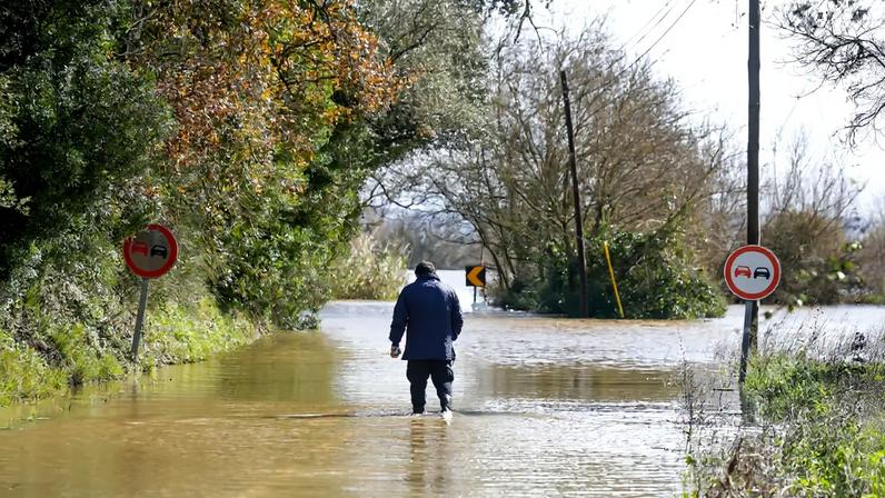 Imagem de contexto do artigo Camisola de Bad Bunny no Super Bowl LX é "made in" Santo Tirso