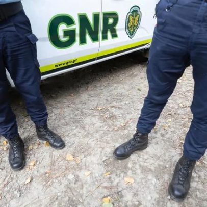 Quinze detidos e 10 mil doses de droga e armas apreendidas no Porto