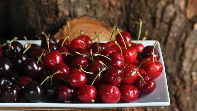 Cereja de Alfândega da Fé distingue-se pelas suas características organoléticas próprias