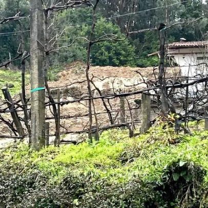 Desalojados em Ponte da Barca sem previsão de regresso a casa