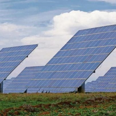 Central fotovoltaica de 88,5 ha em Arouca gera preocupação